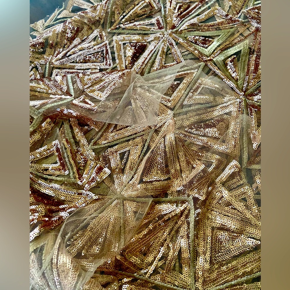1 Piece Fabric Embroidery Champagne Mini Glitz Sequins on Chiffon 76” by 112” - Picture 2 of 5